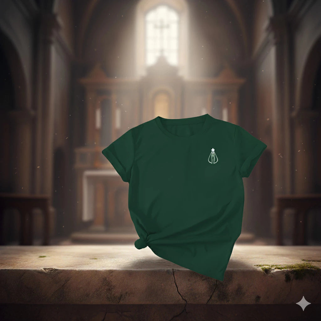 Camiseta Nossa Senhora Aparecida Santo Lar